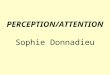 PERCEPTION/ATTENTION Sophie Donnadieu. La psychologie cognitive étudie les grandes fonctions psychologiques de l être humain que sont la mémoire, le langage,