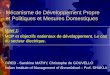 Mécanisme de Développement Propre et Politiques et Mesures Domestiques Volet 1: MDP et objectifs nationaux de développement. Le cas du secteur électrique