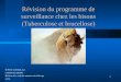 1 Révision du programme de surveillance chez les bisons (Tuberculose et brucellose) Dr Pierre Lafortune, m.v. Contrôle des maladies Division de la santé