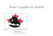Bison Canadien de Qualité Présenté à:Union Québécoise Du Bison Le 24 avril, 2004 Drummondville, Québec