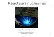 1 Réacteurs nucléaires Philippe Poncharal, Michaël Beuve Philippe.poncharal@univ-lyon1.fr m.beuve@ipnl.in2p3.fr