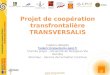 Www.transversalis-pireneus.fr Projet de coopération transfrontalière TRANSVERSALIS Frédéric BRAJOU frederic.brajou@univ-perp.fr Chef de projet - Université