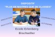 DISPOSITIF "PLUS DE MAITRES QUE DE CLASSES" Ecole Erlenberg Bischwiller REACTIVITE INNOVATION AUTONOMIE COOPERATION