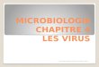 MICROBIOLOGIE CHAPITRE 4 LES VIRUS document réalisé par Bruno Oertel / 2013