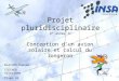 1 Projet pluridisciplinaire 3° année IC Conception dun avion solaire et calcul du longeron BLATTES Damien STEINER Valériane Promo 42