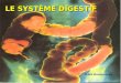 LE SYSTÈME DIGESTIF Gilles Bourbonnais. LE SYSTÈME DIGESTIF 1. Les caractéristiques générales Nourriture et digestion Les organes du système digestif