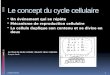Le concept du cycle cellulaire Un événement qui se répète Mécanisme de reproduction cellulaire La cellule duplique son contenu et se divise en deux Estelle