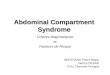 Abdominal Compartment Syndrome Critères diagnostiques et Facteurs de Risque BERTRAND Pierre-Marie Interne DESAR CHU Clermont-Ferrand