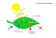 La photosynthèse Processus par lequel les végétaux synthétisent du glucose en utilisant lénergie solaire Énergie + 6CO 2 + 6H 2 O C 6 H 12 O 6 + 6O 2