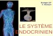 LE SYSTÈME ENDOCRINIEN Biologie 12F E. McIntyre. Lhumain dispose de deux systèmes dinformation Le système électrique –Système nerveux (cerveau, nerf,