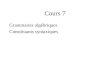 Cours 7 Grammaires alg©briques Constituants syntaxiques