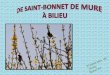 Diaporama de Jacky Questel St-Bonnet de Mure (69) – Bilieu (38) 65 km… 3 H