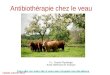 Antibiothérapie chez le veau P.L. Toutain Physiologie Ecole vétérinaire de Toulouse Update Janvier 2012 Pour aller sur notre site si vous avez récupéré