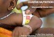 CLUSTER NUTRITION Mercredi 06 Février 2013 M. Albert Tshiula, Coordinateur Melle Anne-Céline Delinger, Gestionnaire de lInformation