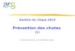 Gestion du risque 2013 Prévention des chutes (1) Dr Christine Chansiaux / Dr Jean-Philippe Flouzat