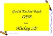 samedi, 7 juin 2014 Godel Escher Bach GEB avec Mickey 3D