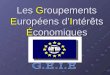 Les Groupements Européens dIntérêts Économiques. Sommaire Introduction I/ Présentation générale a)Définition et historique b)Les différents statuts II
