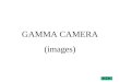 GAMMA CAMERA (images). Les caractéristiques des images