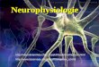Neurophysiologie  
