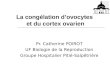 La congélation d’ovocytes et du cortex ovarien Pr. Catherine POIROT UF Biologie de la Reproduction Groupe Hospitalier Pitié-Salpêtrière