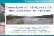 S E M I N A I R E D’ E C H A N G E S D E L A Z A B R 4 novembre 2010 - Sainte Croix (26) Rivières en tresses, rivières en débat Dynamique et biodiversité