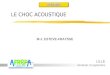 LE CHOC ACOUSTIQUE M-J. ESTEVE-FRAYSSE LILLE Vendredi 13 septembre
