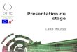 Présentation du stage Laïka Moussa. 19/9/2003Présentation du stage2 Plan Présentation du cadre du stage Sujet du stage Démarche adoptée