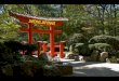 Le jardin japonais, peut être trouvé dans les maisons privées, dans les parcs des villes, comme dans les lieux historiques : temples bouddhistes,