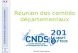 Service jeunesse, sports et vie associative DDCSPP Haute-Marne 2010 Réunion des comités départementaux