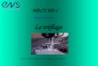 MECT 309 C Exposé de fabrication Le tréflage Auteurs: Areny Pascal, Fremy Flavien, Gras Renaud