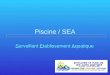 Piscine / SEA Surveillant Etablissement Aquatique