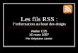 Les fils RSS : l’information au bout des doigts Atelier C35 16 mars 2007 Par Stéphane Lavoie