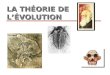 LA THÉORIE DE L’ÉVOLUTION. Facteurs de l’évolution Selection naturelle 1 Mutation fortuite 2,3 Dérive gènètique 4 1 Darwin, 1856; 2 Muller, 1926; 3 Luria,
