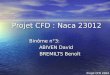 Projet CFD : Naca 23012 Binôme n°3: ABIVEN David BREMILTS Benoît BREMILTS Benoît Projet CFD 2004