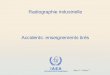 IAEA International Atomic Energy Agency Radiographie industrielle Accidents: enseignements tirés Jour 5 – Cours 7