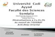 Encadré par le professeur : Réalisé par : EDDAHBI Abdelfetah 2013/2014 Université Cadi Ayyad Faculté des Sciences Semlalia Département des Sciences de