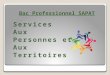 Bac Professionnel SAPAT ServicesAux Personnes et AuxTerritoires