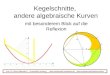 Kegelschnitte, andere algebraische Kurven mit besonderem Blick auf die Reflexion Prof. Dr. Dörte Haftendorn, Universität Lüneburg, ,
