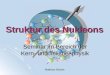 Struktur des Nukleons Seminar im Bereich der Kern- und Teilchenphysik Matthias Böcker