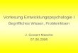 Bitte Ruhe!. Vorlesung Entwicklungspsychologie I Begriffliches Wissen, Problemlösen J. Gowert Masche 07.06.2006