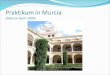Praktikum in Murcia (Februar-April 2009). Wo liegt Murcia überhaupt?