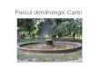Parcul dendrologic Carei. Daten von Park Rund um die Burg im Jahr 1700 gab es einen schönen Garten, im Barock-Stil dekoriert. Zwischen 1790 Bode Gärtner