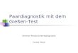 Paardiagnostik mit dem Gießen-Test Seminar Persönlichkeitsdiagnostik Carola Zirpel