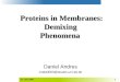 1 Daniel Andres Anda0000@studcs.uni-sb.de Proteins in Membranes: DemixingPhenomena 29. Juni 2004