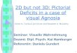 1 2D but not 3D: Pictorial Deficits in a case of visual Agnosia Seminar: Visuelle Wahrnehmung Dozent: Dipl. Psych. Kai Hamburger Referentin: Daniela Gundert
