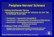 Klinik und Poliklinik für Neurochirurgie der WWU Münster, Lars Lemcke Periphere Nerven/ Schmerz Heilung durchtrennter Nerven Neuaussprossung von proximal