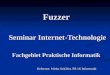 Fuzzer Seminar Internet-Technologie Fachgebiet Praktische Informatik Referent: Mirko Schäfer, FB 16 Informatik