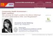 Alexandra Kurka-Wöbking (MScN, dipl. Pflegewirtin)Community Health Assessment Stadt Landshut (Stand 2008) Community Health Assessment – Stadt Landshut