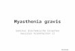 Myasthenia gravis Seminar biochemische Ursachen neuraler Krankheiten II Daniel Mathow