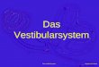 Barbara LunnebachDas Vestibularsystem. Barbara LunnebachDas Vestibularsystem Struktur des Innenohrs Canales semicirculares Sacculus Utriculus
